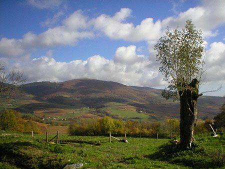 Vernay Le Colombier D'Amalthee 빌라 외부 사진